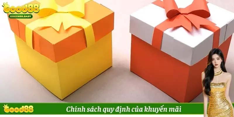 Chính sách quy định của khuyến mãi
