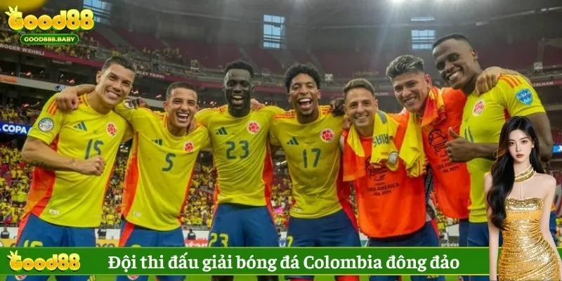 Đội thi đấu giải bóng đá Colombia đông đảo